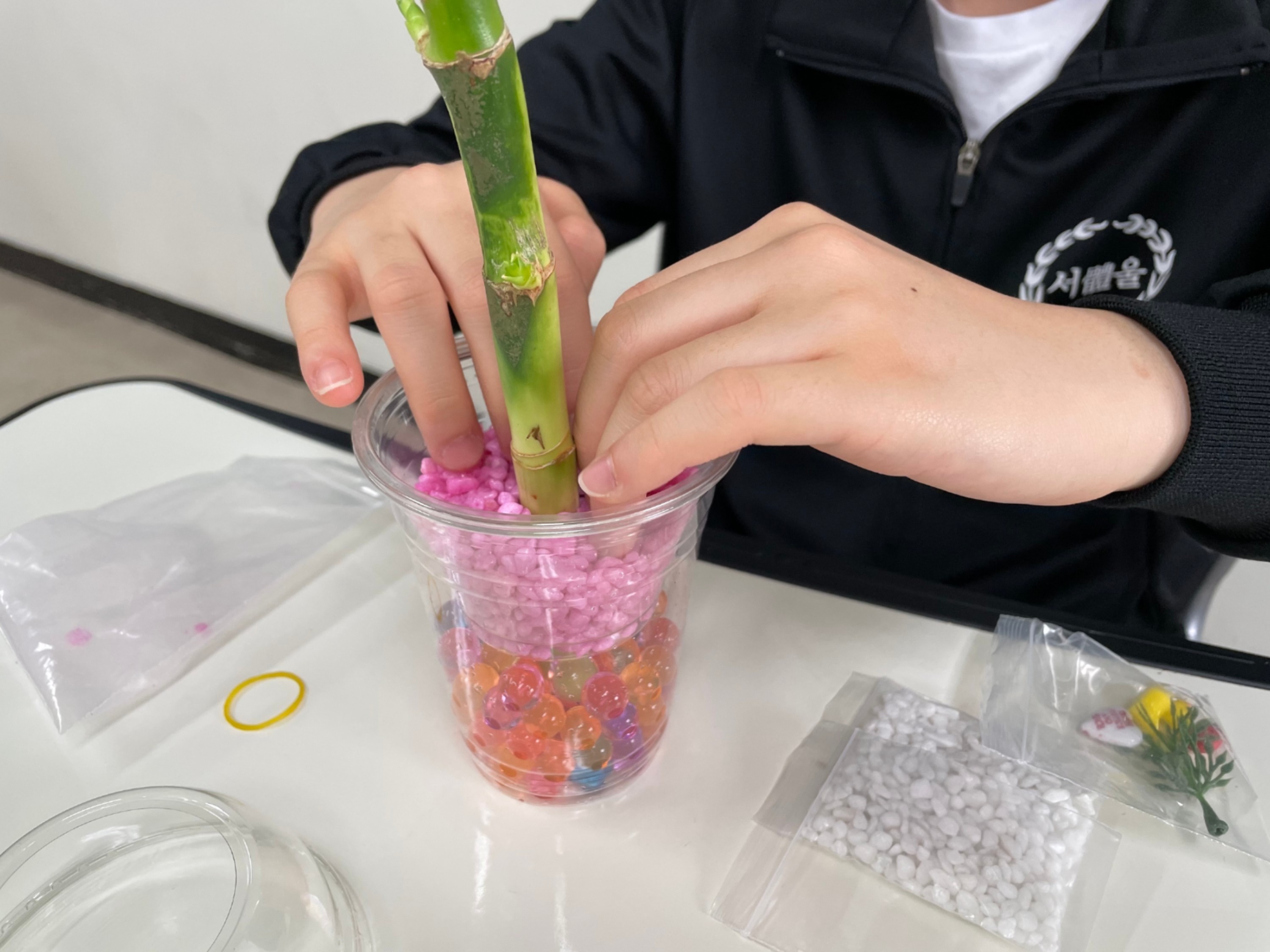 찾아가는 진로 DAY 안내