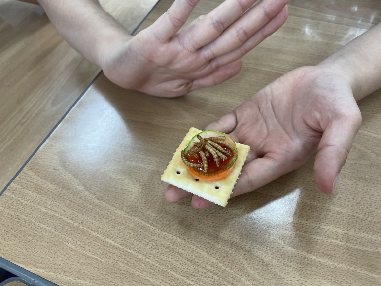 찾아가는 진로DAY 안내