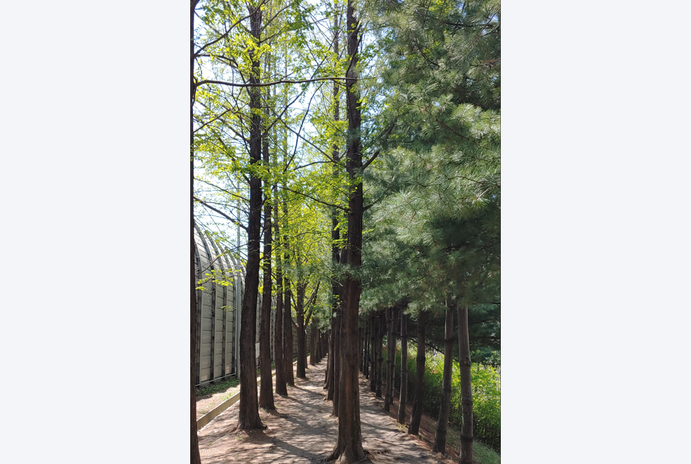장지천길 이미지
