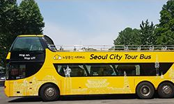 노랑풍선 시티버스 이미지