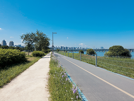 Jamsil Hangang Park image