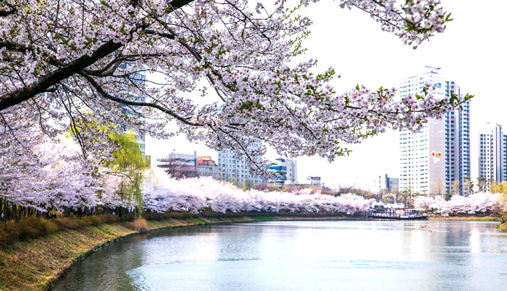 Seokchon Lake