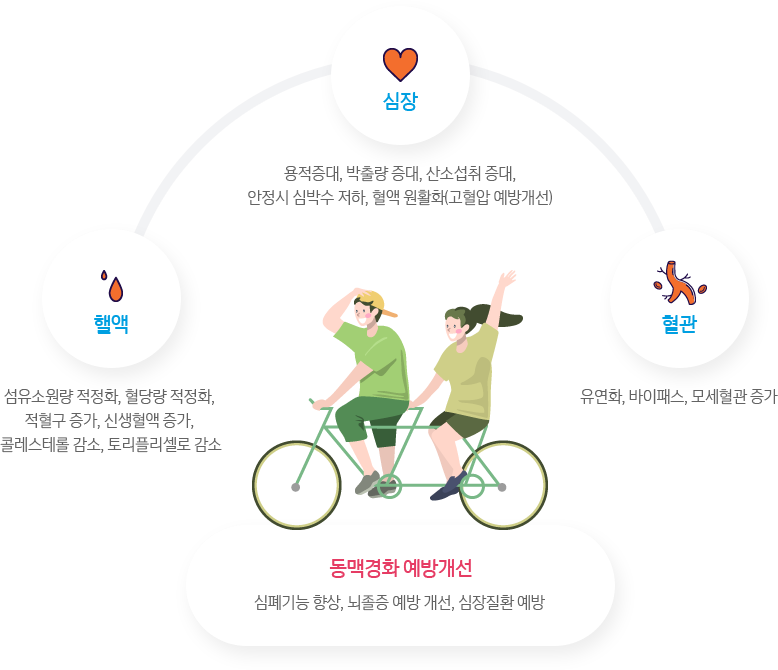 자전거 타기가 의학적으로 인체에 미치는 효과 - 아래내용 참조