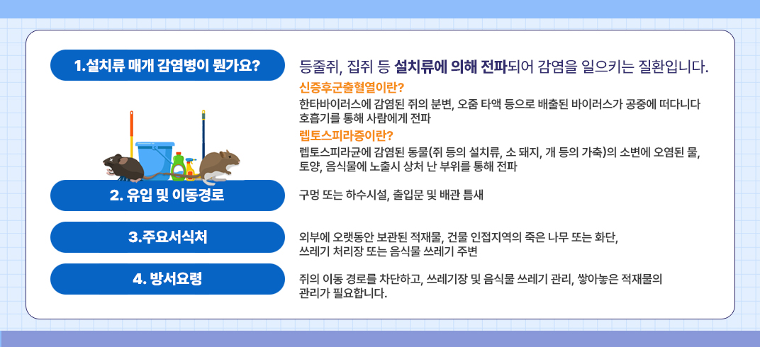 1.설치류 매개 감염병이 뭔가요?

등줄쥐, 집쥐 등 설치류에 의해 전파되어 감염을 일으키는 질환입니다.

- 신증후군출혈열이란?

  한타바이러스에 감염된 쥐의 분변, 오줌 타액 등으로 배출된  바이러스가 공중에 떠다니다 호흡기를 통해 사람에게 전파

- 렙토스피라증이란?

  렙토스피라균에 감염된 동물(쥐 등의 설치류, 소 돼지, 개 등의 가축)의    소변에 오염된 물, 토양, 음식물에 노출시 상처 난 부위를 통해 전파

2. 유입 및 이동경로 : 구멍 또는 하수시설, 출입문 및 배관 틈새

3. 주요서식처: 외부에 오랫동안 보관된 적재물, 건물 인접지역의 죽은 나무 또는 화단, 쓰레기 처리장 또는 음식물 쓰레기 주변

4. 방서요령: 쥐의 이동 경로를 차단하고, 쓰레기장 및 음식물 쓰레기 관리, 쌓아놓은 적재물의 관리가 필요합니다.