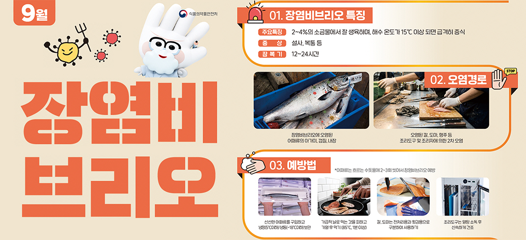 장염비브리오

01. 장염비브리오의 특징

주요특징: 2~4%의 소금물에서 잘 생육하며, 해수 온도가 15도 이상 되면 급격히 증식

증상: 설사, 복통 등

잠복기: 12~24시간

 

02. 오염경로

장염비브리오에 오염된 어패휴의 아가미, 껍질, 내장

오염된 칼, 도마, 행주 등 조리도구 및 조리자에 의한 2차 오염

 

03. 예방법

신선한 어패류를 구입하고 냉장, 냉동 보관

가급적 날로 먹는 것을 피하고 가열 후 먹기

칼, 도마는 전처리용과 횟감용으로 구분하여 사용하기

조리도구는 열탕 소독 후 신속하게 건조