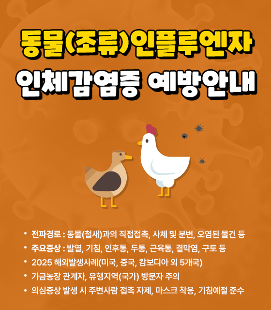 <동물(조류)인플루엔자 인체감염증 예방안내>
- 전파경로: 동물(철새)과의 직접접촉, 사체 및 분변, 오염된 물건 등
- 주요증상: 발열, 기침, 인후통, 두통, 근육통, 결막염, 구토 등
- 2025 해외발생사례(미국, 중국, 캄보디아 외 5개국)
- 가금농장 관계자, 유행지역(국가) 방문자 주의
- 의심증상 발생 시 주변사람 접촉 자제, 마스크 착용, 기침예절 준수
자세히보기