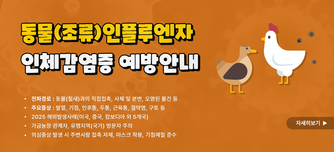 <동물(조류)인플루엔자 인체감염증 예방안내>

 

- 전파경로: 동물(철새)과의 직접접촉, 사체 및 분변, 오염된 물건 등

- 주요증상: 발열, 기침, 인후통, 두통, 근육통, 결막염, 구토 등

- 2025 해외발생사례(미국, 중국, 캄보디아 외 5개국)

- 가금농장 관계자, 유행지역(국가) 방문자 주의

- 의심증상 발생 시 주변사람 접촉 자제, 마스크 착용, 기침예절 준수

자세히보기