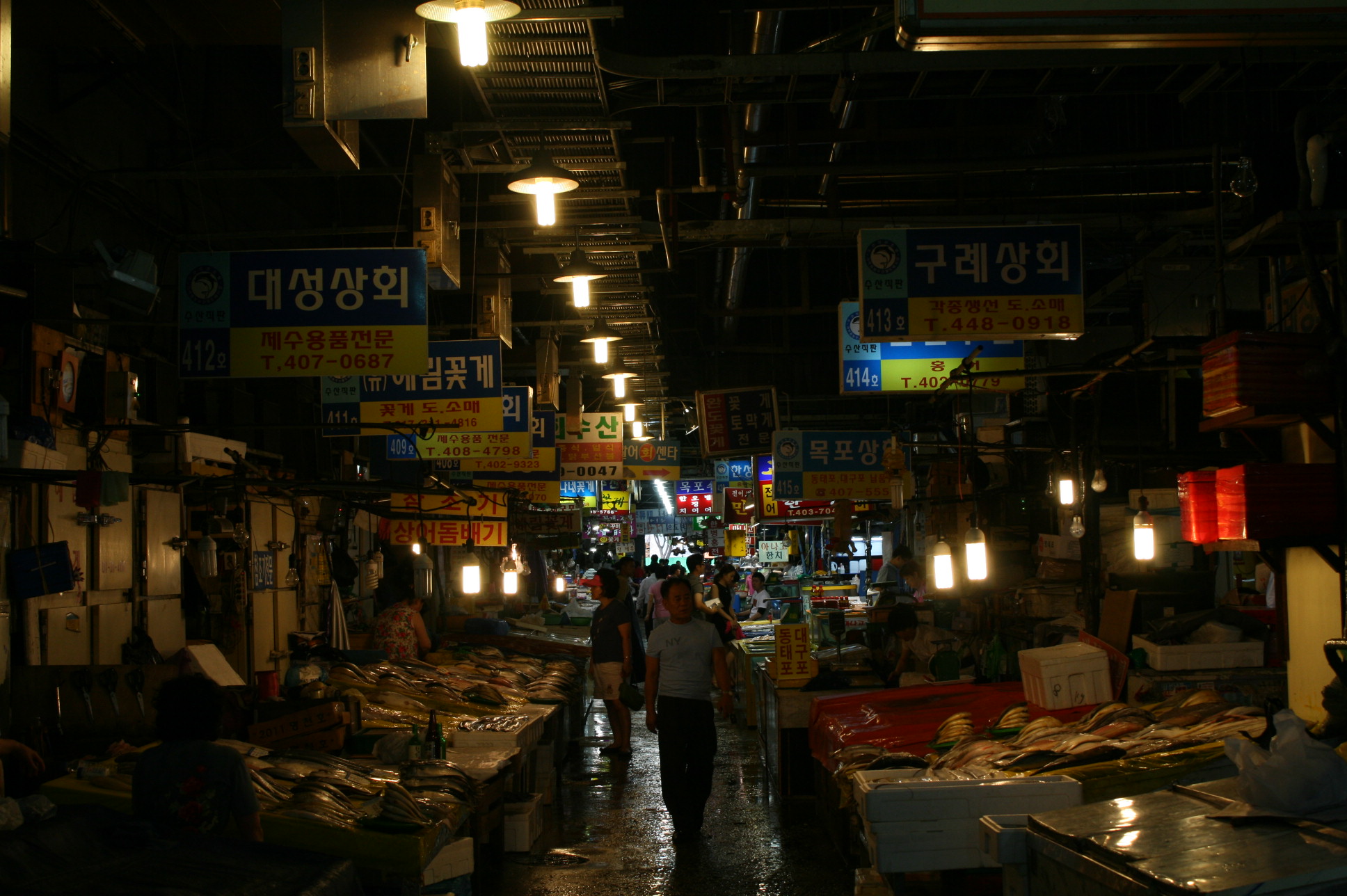 인터넷기록관 - 송파구청 송파 송파구청 Songpa-gu Office 가락1동 가락2동 가락본동 거여1동 거여2동 마천1동 마천2동 문정1동 문정2동... 