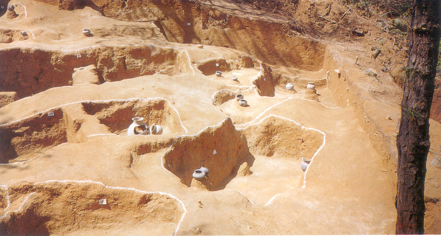 신봉동유적발굴조사광경(Excavation at Sinbong-dong Site) 의 이미지