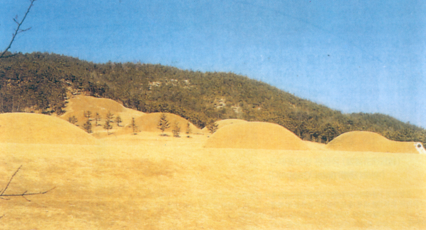 능산리고분군 전경(Tombs of Neungsan-ri) 의 이미지