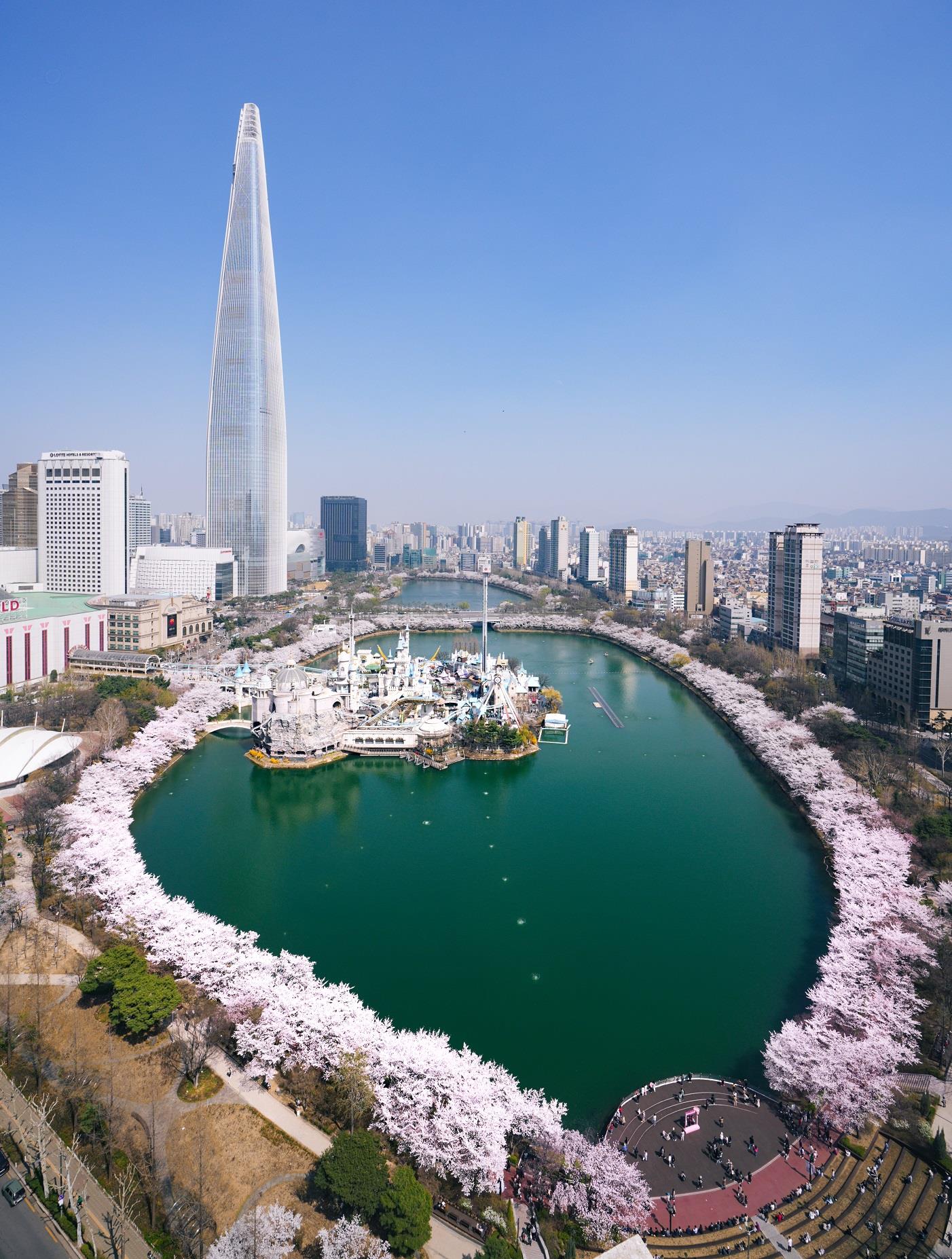 2025벚꽃개화시기 '서울 벚꽃명소' 석촌호수벚꽃축제 (사진=송파구청 SNS)